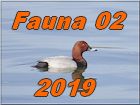 fauna 02